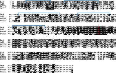 Identification of Novel Thermosensors in Gram-Positive Pathogens